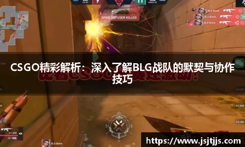 bsports体育